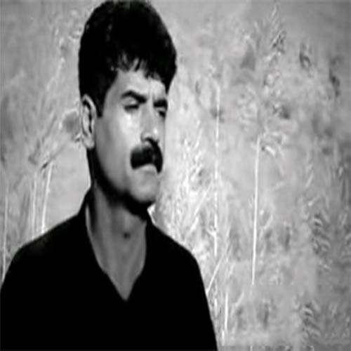 فردین حسین پناهی سلاو